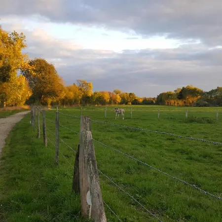 D'hotes Le Fer A Cheval Bed and Breakfast Montreuil-sur-Maine