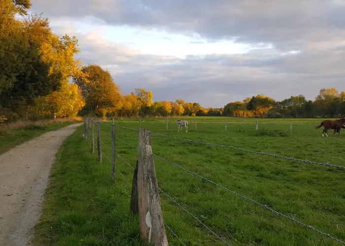 D'hotes Le Fer A Cheval Bed and Breakfast Montreuil-sur-Maine